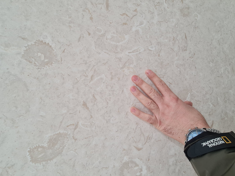 Limestone Fiorito